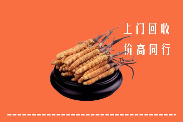 高价求购：马鞍山市和市回收散虫草