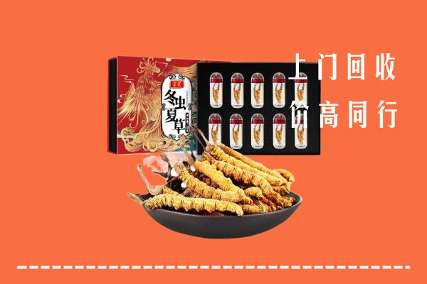马鞍山市和市高价回收虫草